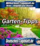 Mittelrhein-Tageblatt-Deutsches-Tageblatt-Garten-Tipps-Magazin-Ratgeber