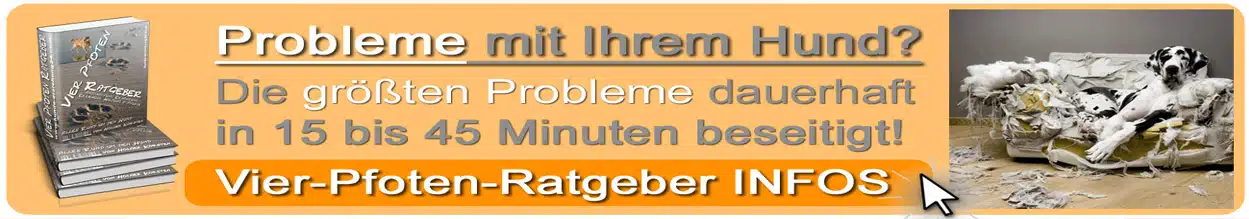 Mittelrhein-Tageblatt-Top-Banner-Hundeerziehung-Vier-Pfoten-Ratgeber