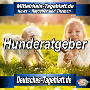 Mittelrhein-Tageblatt-Deutsches-Tageblatt-Hunde-Hunderatgeber-Hundeerziehung