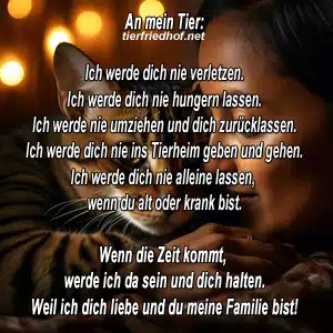 An mein Tier - Ein Versprechen aus Liebe und Treue