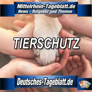 Mittelrhein-Tageblatt-Deutsches-Tageblatt-Tiere-Tierschutz-Verstoesse-Tierquaelerei