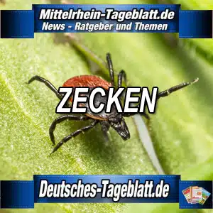 Mittelrhein-Tageblatt-Deutsches-Tageblatt-Zecken-Zeckenbiss-FSME-Hirnhautentzündung-Borreliose
