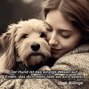 Hunde als treue Begleiter des Menschen