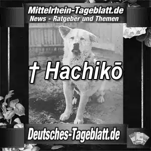 Mittelrhein-Tageblatt-Deutsches-Tageblatt-Hachikō-ist-tot-08.März-1935-Die-Tränen-von-Shibuya